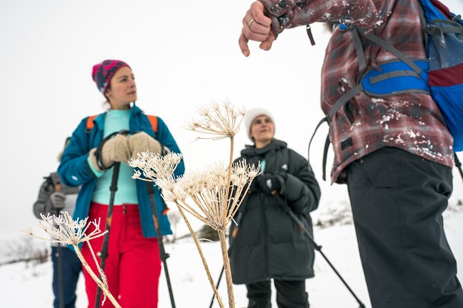 Advanced Snowshoeing Adventure - Quick hits before you lace up