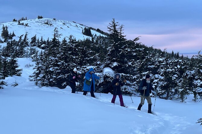 Advanced Snowshoeing Adventure - Stop 1 in Chugach State Park: Glen Alps valley, Campbell Creek, and photo pauses