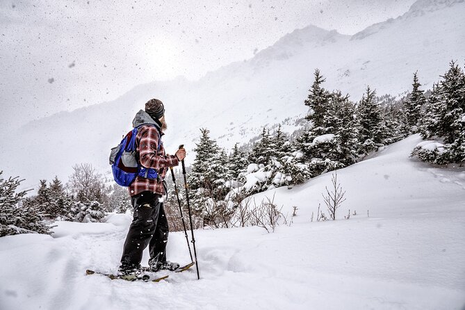 Advanced Snowshoeing Adventure - Wildlife spotting and track-reading: why the naturalist guide changes everything