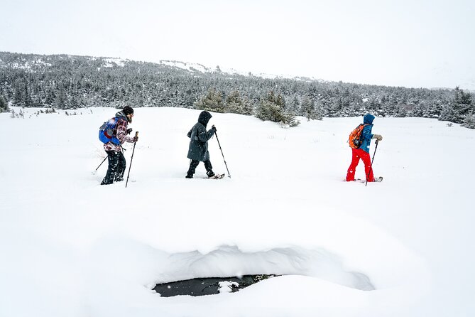 Advanced Snowshoeing Adventure - Expectations that affect comfort: fitness, stamina, and health considerations