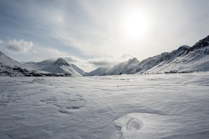 Advanced Snowshoeing Adventure - Timing, meeting point, and how the private format plays out