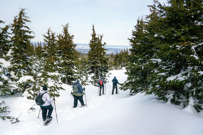 Advanced Snowshoeing Adventure - The day’s structure: 1 hour driving, 4 hours on snow