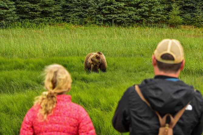 Alaska Bear Viewing Adventure from Seward - From Seward Pickups to Kenai Lake Packraft Training