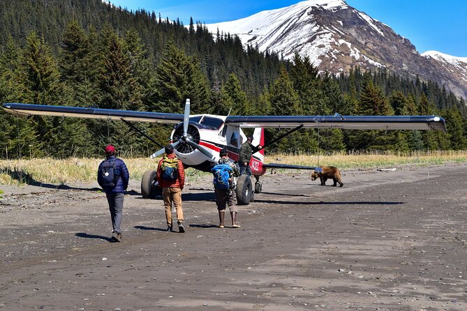 Alaska Bear Viewing Adventure from Seward - Kenai Lake to the Shoreside Lunch: Fuel and Reset Time