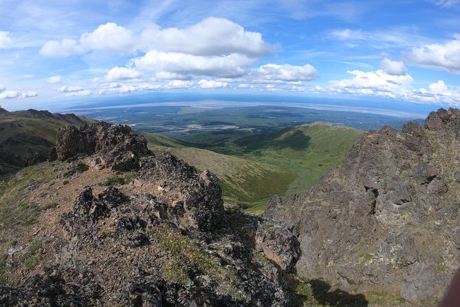 Alpine Classic Trek - Wildlife spotting: what you might see from above Anchorage