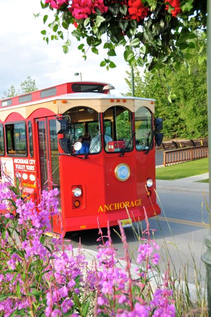 Anchorage: 1-Hour Trolley Tour - Moose spotting on the trolley: what to do, and what to expect
