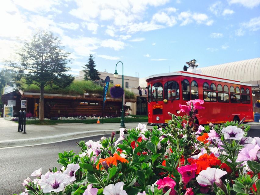 Anchorage: 1-Hour Trolley Tour - Historic neighborhoods: learning Anchorage’s “why,” not just its “what”