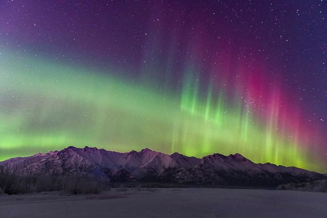 Anchorage Aurora Tour and Northern Lights Photo - Anchorage Aurora Photo Tour: what you’re really buying for $315