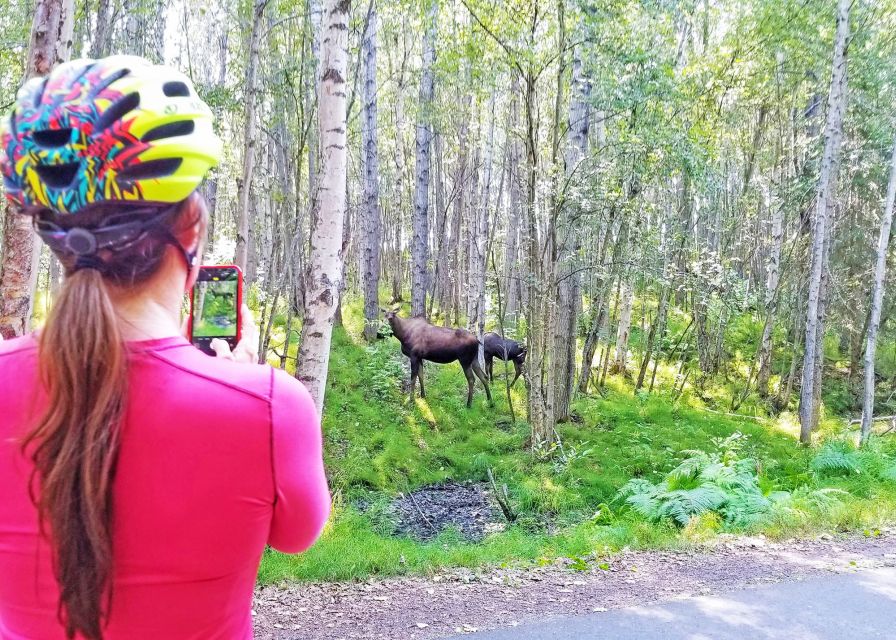 Anchorage: Coastal Trail 3-Hour City Bike Tour - How the 3-hour timing really feels on the ground