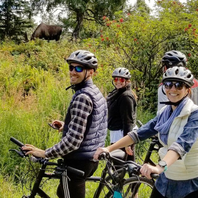 Anchorage: Coastal Trail 3-Hour City Bike Tour - Price and value: what $139 buys you