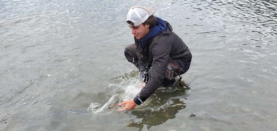 Anchorage: Full-day guided salmon fishing with Hotel Pickup - Price and Value: Is $409 a Fair Deal for an 8-Hour Day?