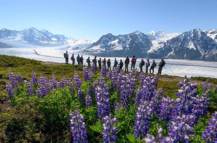 Anchorage: Grand Knik Glacier Helicopter Tour with Landings - The last landing at melt pools: what you’re actually looking at