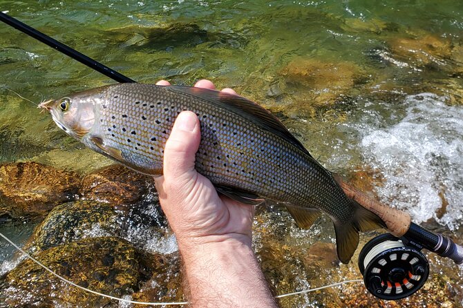 Anchorage Guided Fly-fishing with transportation - Price and Value for $339: What You’re Paying For