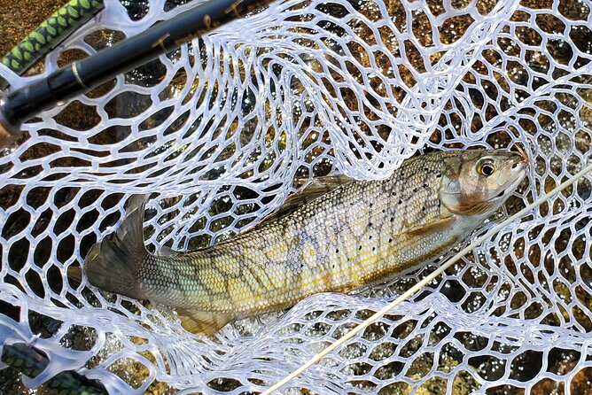 Anchorage Guided Fly-fishing with transportation - Who This Trip Suits Best (and Who Should Rethink It)