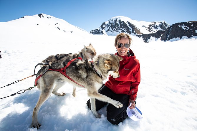 Anchorage Helicopter Glacier Dogsledding Tour - Price and value: what $769 buys you here