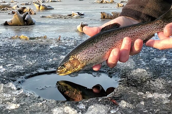 Anchorage Ice Fishing Adventure with transportation - Key things that make this ice fishing trip work