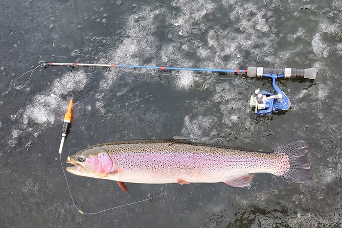 Anchorage Ice Fishing Adventure with transportation - Who this tour is best for (and who might want to think twice)