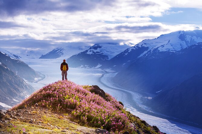 Anchorage: Kenai Fjords & Denali National Park 5 Day 4 Night Tour - Day 5: Anchorage Sea Life Center and Tour Finish