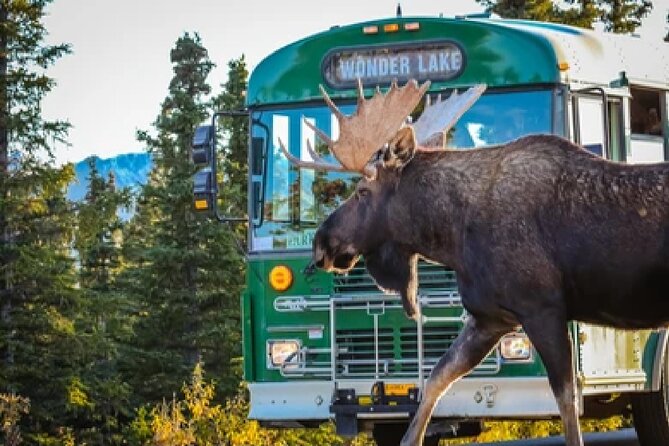 Anchorage: Kenai Fjords & Denali National Park 5 Day 4 Night Tour - Price and Value: Is $2,599 Really a Good Deal?