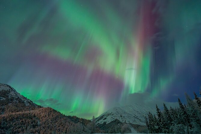 Anchorage Northern Lights Tour - The warm portable shelter: your waiting game, upgraded
