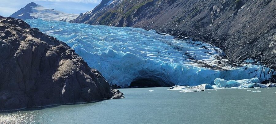 Anchorage: Portage Glacier and Wildlife Explorer Cruise - Alaska Wildlife Conservation Center: your wildlife viewing has a purpose