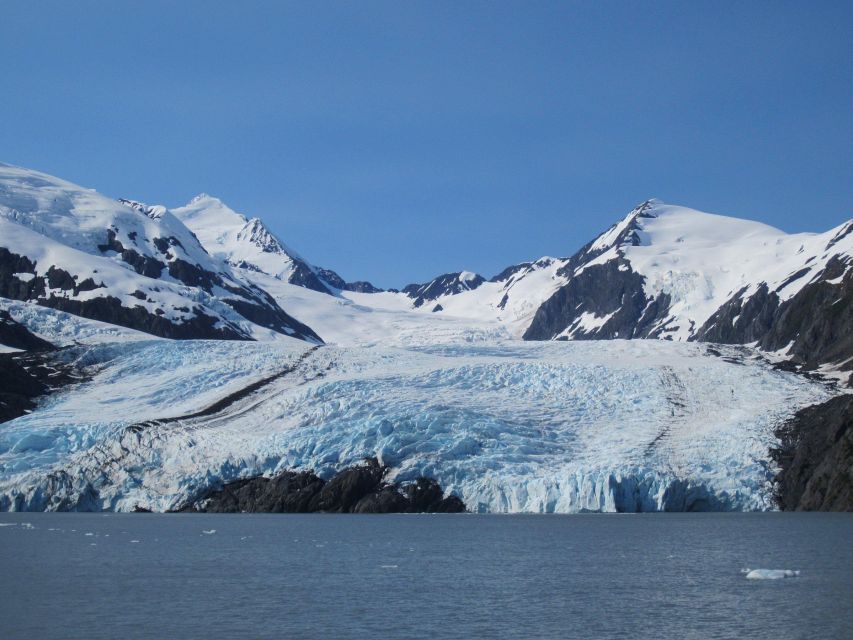 Anchorage: Portage Glacier and Wildlife Explorer Cruise - Price and value: what you’re really paying for