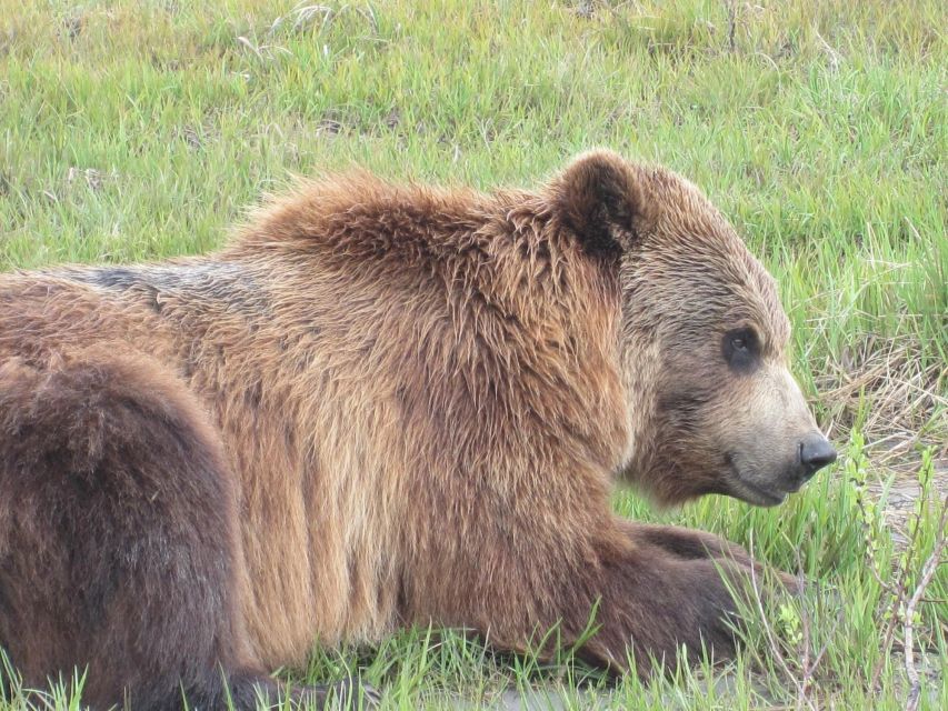 Anchorage: Portage Glacier and Wildlife Explorer Cruise - The drive from downtown Anchorage (and why timing helps)