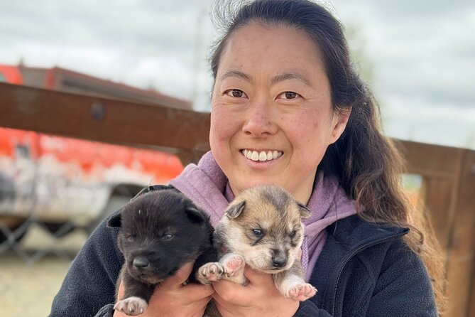 Anchorage's Authentic Dog Sledding Experience - Key highlights (the stuff you’ll remember)