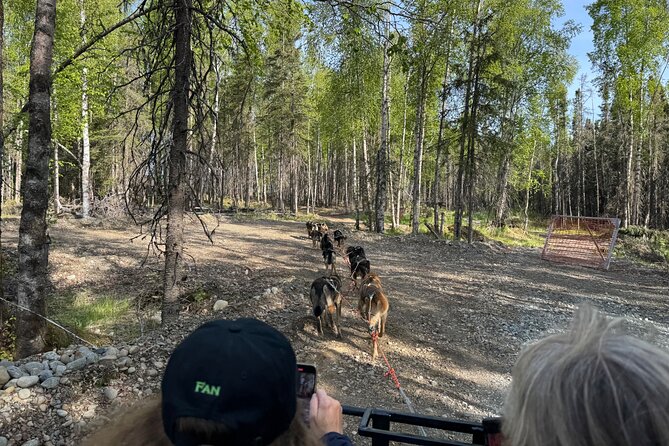 Anchorage's Authentic Dog Sledding Experience - Price and value: what $105 gets you in real terms