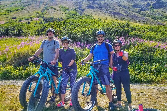 Anchorage Scenic Mountain Bike Tour - Key Highlights Worth Zooming In On