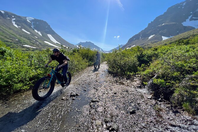 Anchorage Scenic Mountain Bike Tour - Wildlife Watching Without Losing Your Breath