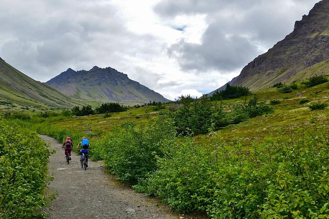 Anchorage Scenic Mountain Bike Tour - The Trail Reality Check: Cold, Rocky, and Not an E-Bike