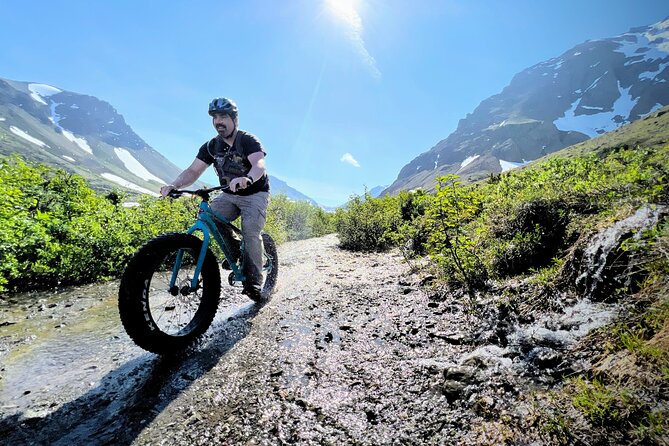 Anchorage Scenic Mountain Bike Tour - What You Actually Get for $169