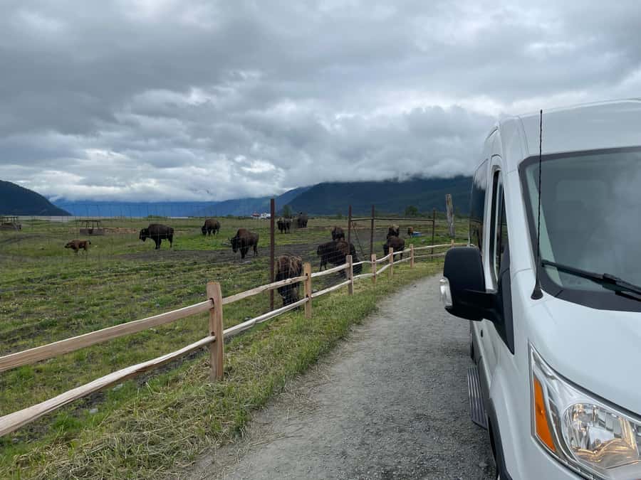 Anchorage: Scenic Tour to Wildlife Center with hotel pickup - Who this Anchorage wildlife tour is best for