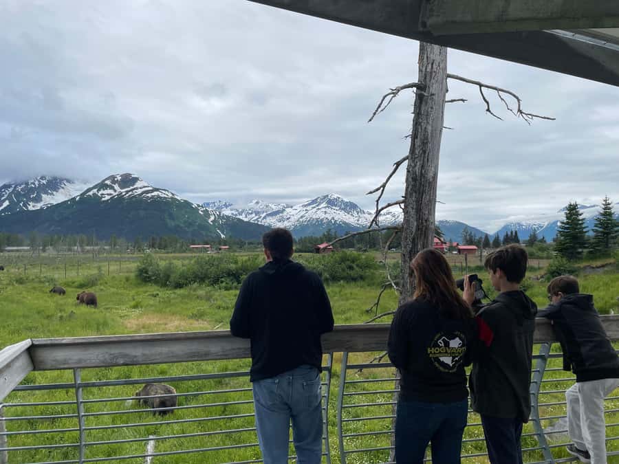 Anchorage: Scenic Tour to Wildlife Center with hotel pickup - FAQ