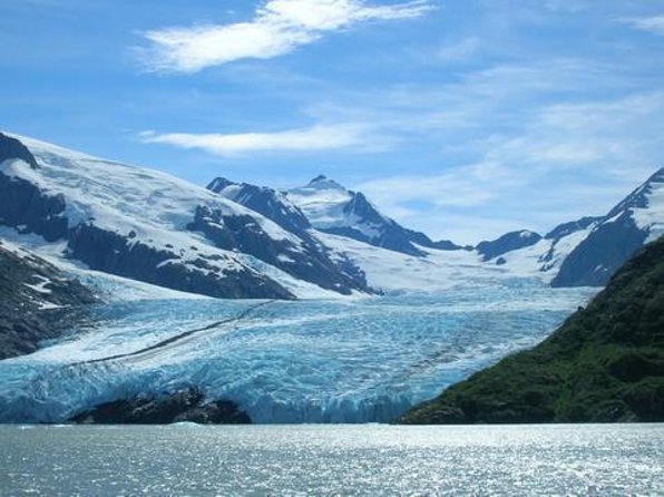 Anchorage to Seward Cruise Transfer & Wildlife Tour - Key things to know before you go