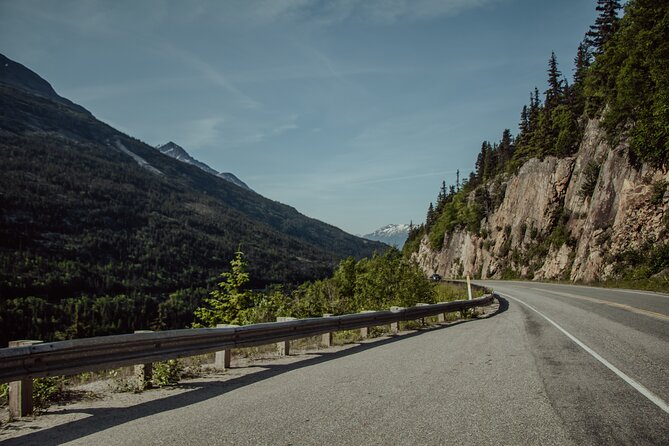 Anchorage to Seward Cruise Transfer & Wildlife Tour - Girdwood and the Alaska Wildlife Conservation Center