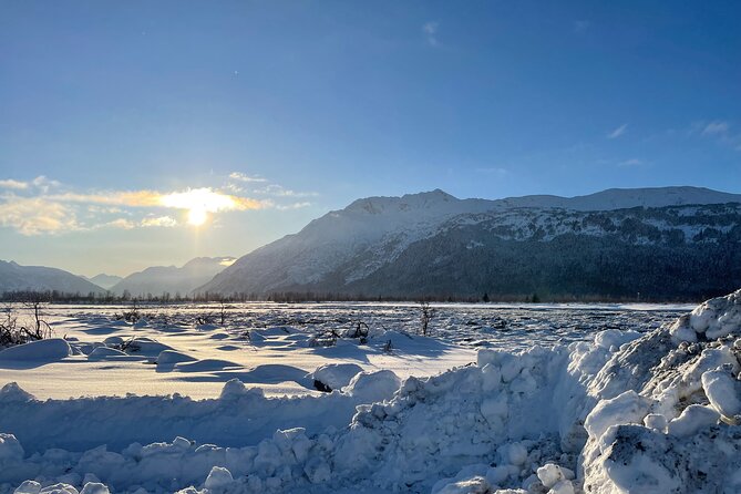 Anchorage to Seward Cruise Transfer & Wildlife Tour - Portage Glacier and the half-mile nature walk to the face
