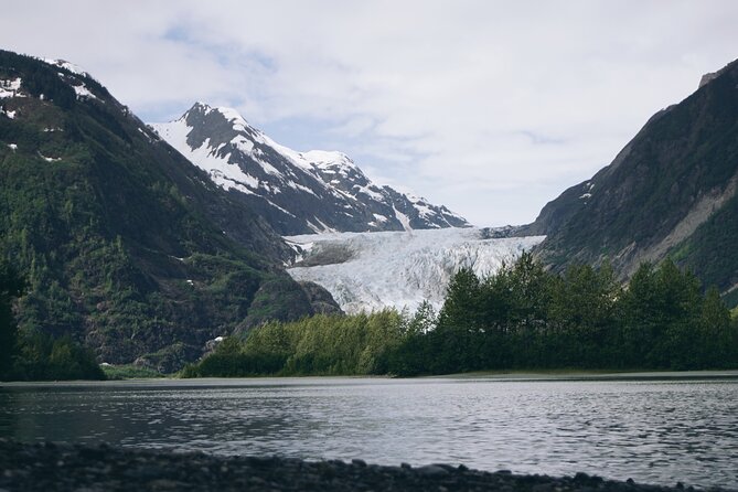 Anchorage to Seward Cruise Transfer & Wildlife Tour - Moose Pass and Summit Lake Lodge: a last reset before Seward