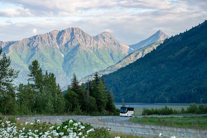 Anchorage to Seward Wildlife Adventure - Key Points to Know Before You Go
