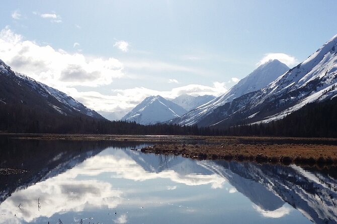 Anchorage to Whittier Cruise Transfer and Private Tour - Alaska Wildlife Conservation Center: The Optional Add-On That Adds Meaning