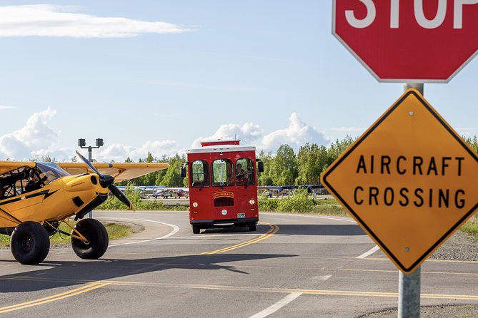Anchorage Trolley Tour - Wildlife Along the Route: Moose Spotting Done the Right Way