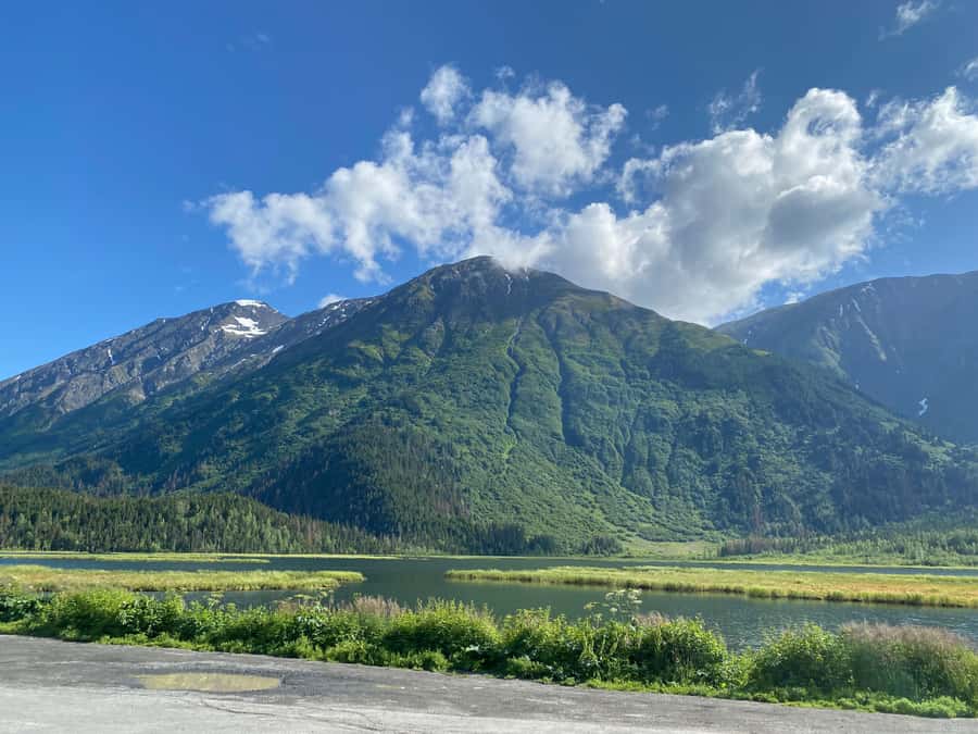 Anchorage: Wildlife Conservation Center & Portage Valley - Portage Valley: Hanging Glaciers, Salmon Streams, and a Rainforest Walk