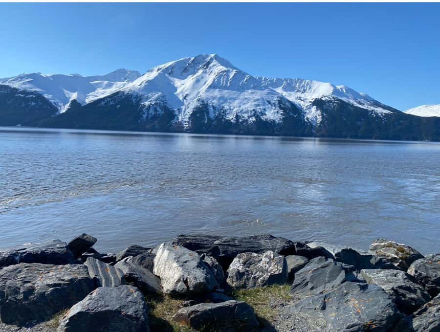 Anchorage: Wildlife Conservation Center & Portage Valley - Practical Tips for a Better Day (Without Overthinking It)