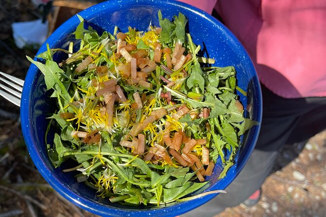 Backcountry Eats & Foraging Treats - The Chugach foraging hunt: what you’ll look for and how it feels
