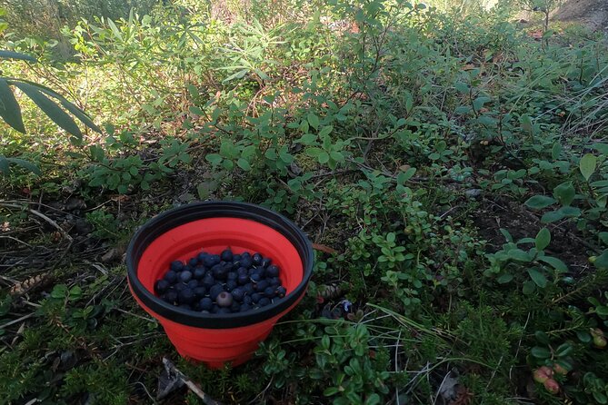 Backcountry Eats & Foraging Treats - Who should book this, and who should skip it