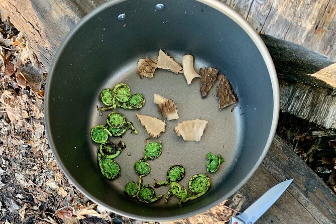 Backcountry Eats & Foraging Treats - Tips to get the most out of your backcountry foraging day