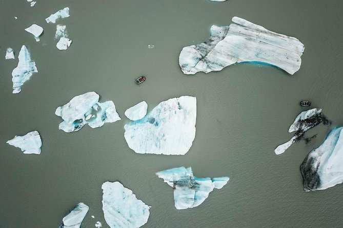 Bears, Trains & Icebergs Tour - Price and value: why $392 can make sense for this mix