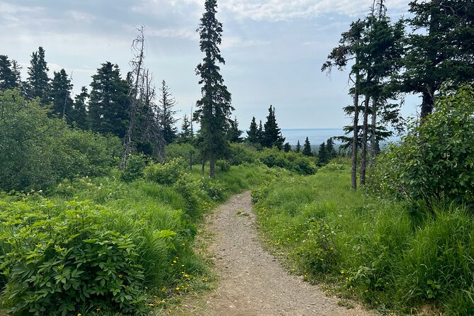 Chugach State Park Nature Walk - Key things that make this Chugach nature walk work