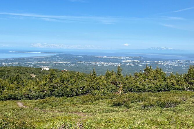 Chugach State Park Nature Walk - The walk’s real hero: Flattop Mountain Trail and its Chugach clues